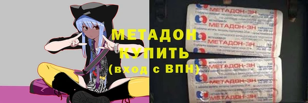 стаф Алзамай