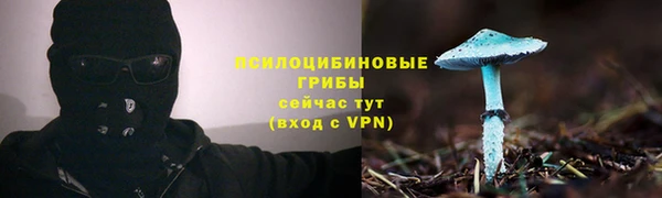 герыч Алексин