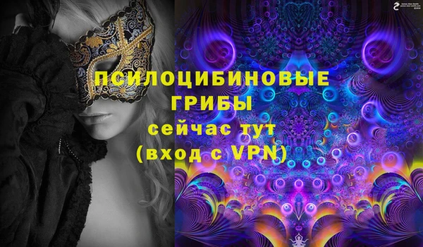 стаф Алзамай