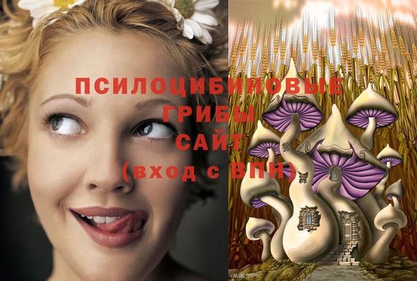 стаф Алзамай