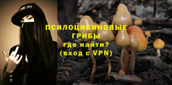 винт Снежинск